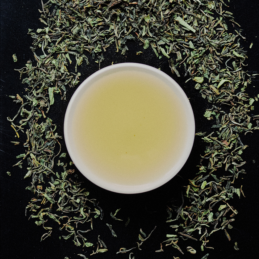 Darjeeling First Flush image